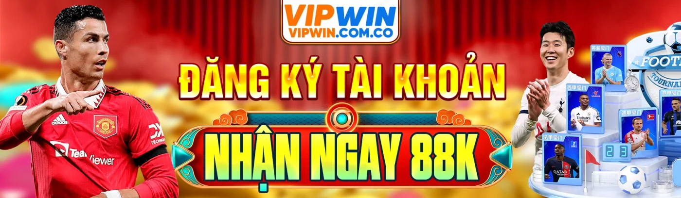 banner vipwin