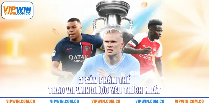 3 sản phẩm thể thao VIPWIN được yêu thích nhất