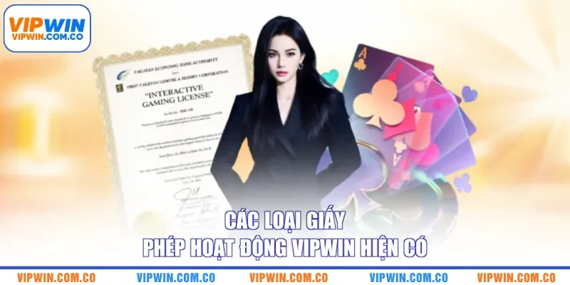 Các loại giấy phép hoạt động VIPWIN hiện có