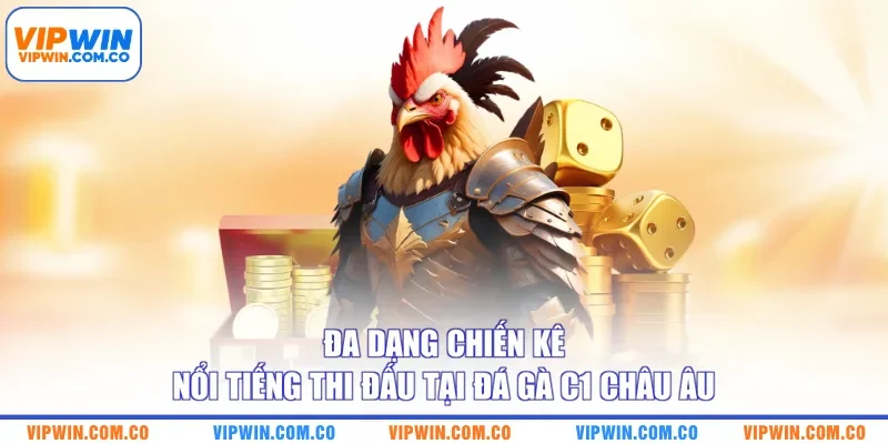 Đa dạng chiến kê nổi tiếng thi đấu tại đá gà C1 châu Âu