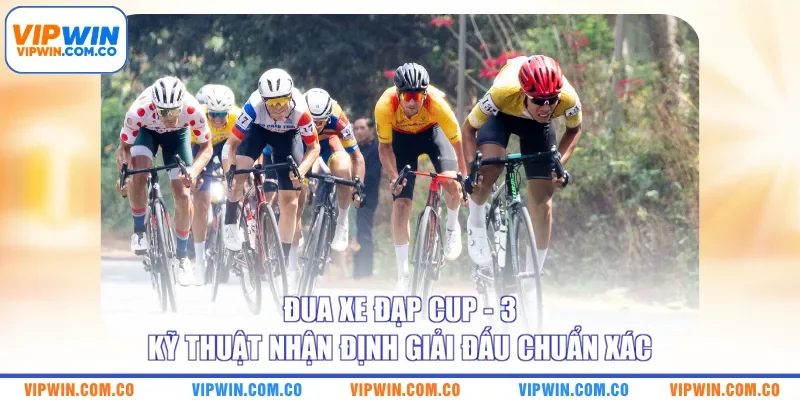 Đua Xe Đạp Cup - 3 Kỹ Thuật Nhận Định Giải Đấu Chuẩn Xác