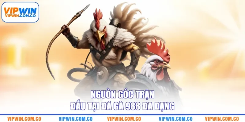 Nguồn gốc trận đấu tại đá gà 988 đa dạng