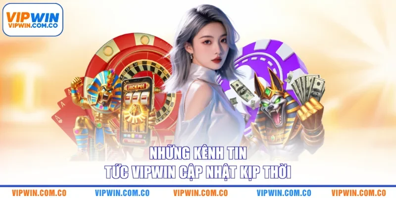 Những kênh tin tức VIPWIN cập nhật kịp thời