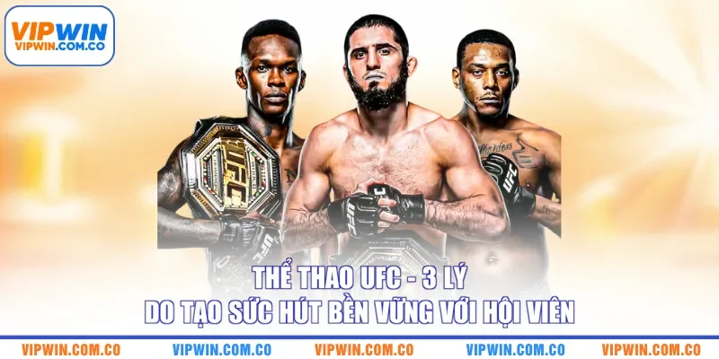 Thể Thao UFC - 3 Lý Do Tạo Sức Hút Bền Vững Với Hội Viên