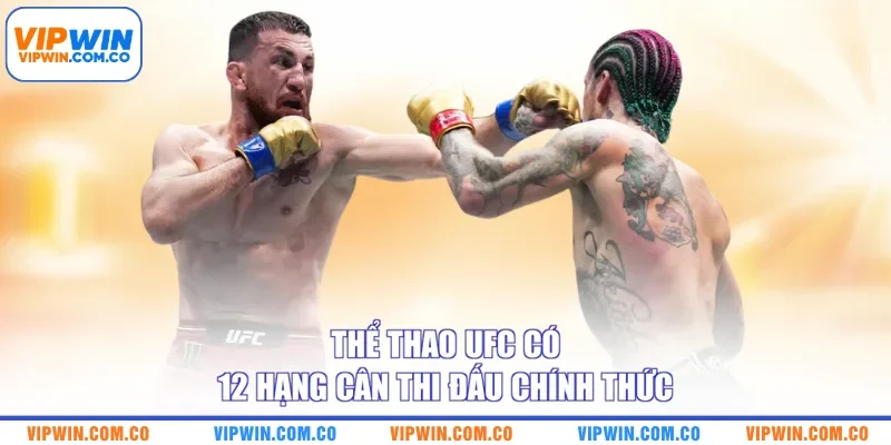 Thể thao UFC có 12 hạng cân thi đấu chính thức