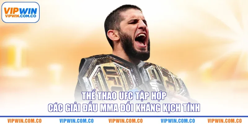 Thể thao UFC tập hợp các giải đấu MMA đối kháng kịch tính