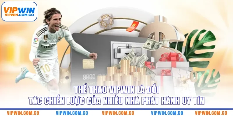 Thể thao VIPWIN là đối tác chiến lược của nhiều nhà phát hành uy tín