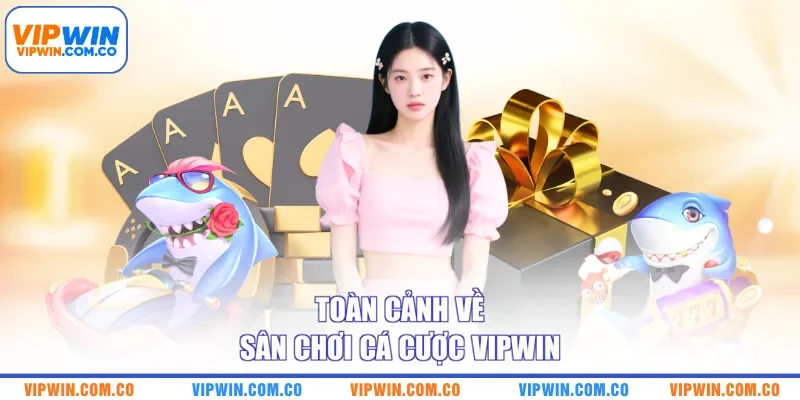 Toàn cảnh về sân chơi cá cược VIPWIN
