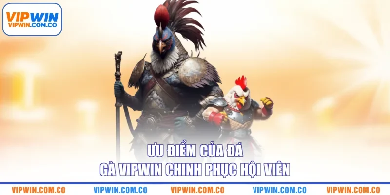 Ưu điểm của đá gà VIPWIN chinh phục hội viên
